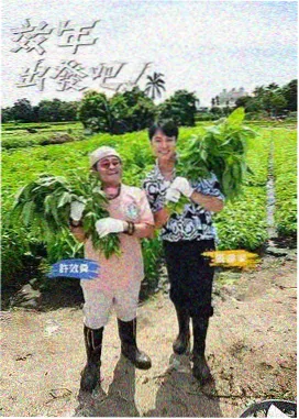 人人爽人人爽人人片生活改造综艺老屋改造记